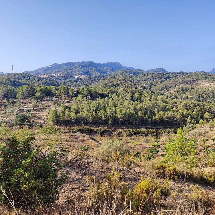 Finca/Landehus til salg i Rasquera - € 34.000 (Ref: 9524702)