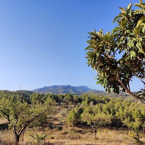 Finca/Landehus til salg i Rasquera - € 34.000 (Ref: 9524702)