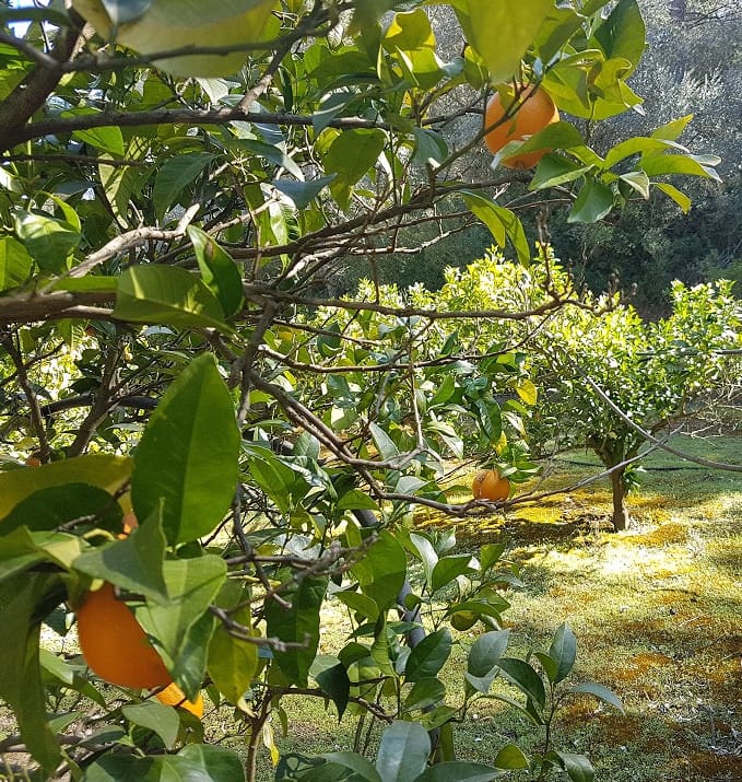 Finca/Landehus til salg i Rasquera - € 34.000 (Ref: 9524702)