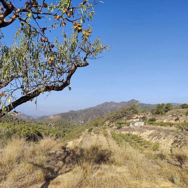 Finca/Landehus til salg i Rasquera - € 34.000 (Ref: 9524702)