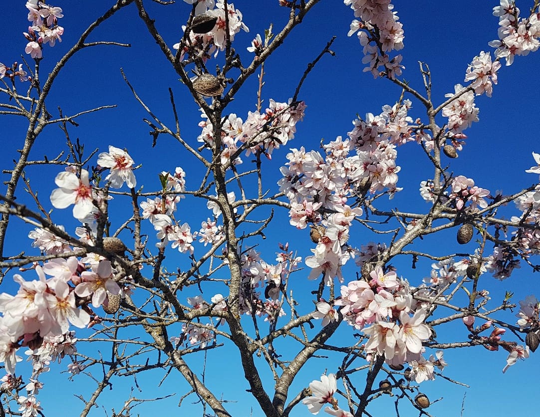 Finca/Landehus til salg i Rasquera - € 34.000 (Ref: 9524702)