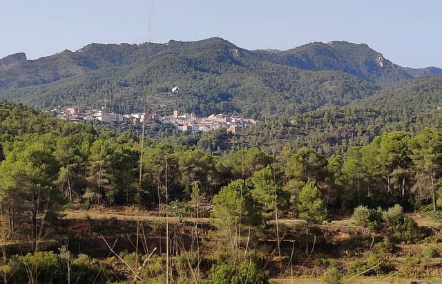 Finca/Landehus til salg i Rasquera - € 34.000 (Ref: 9524702)