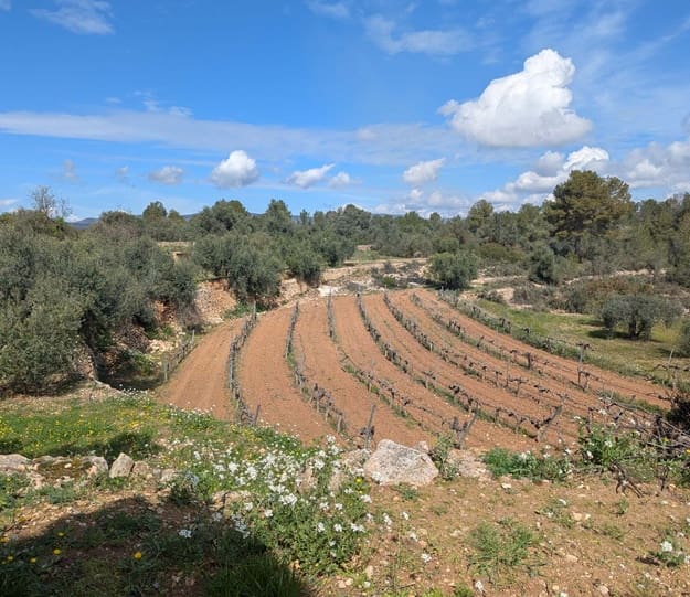 Finca/Landehus til salg i Garcia - € 160.000 (Ref: 9528849)