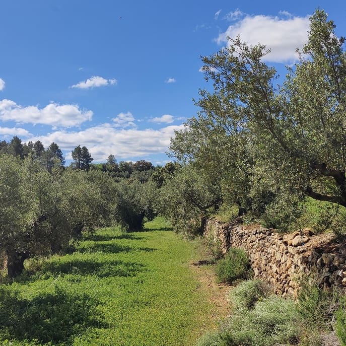 Finca/Landehus til salg i Garcia - € 160.000 (Ref: 9528849)
