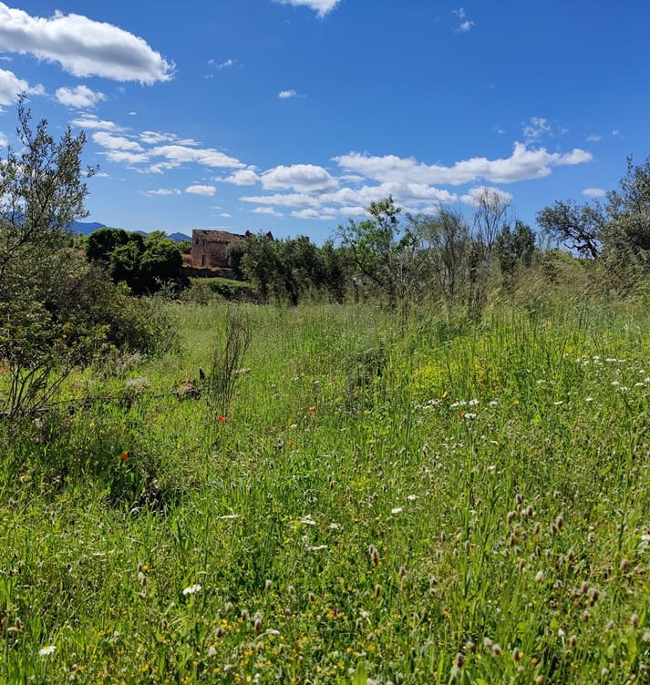 Finca/Landehus til salg i Garcia - € 160.000 (Ref: 9528849)