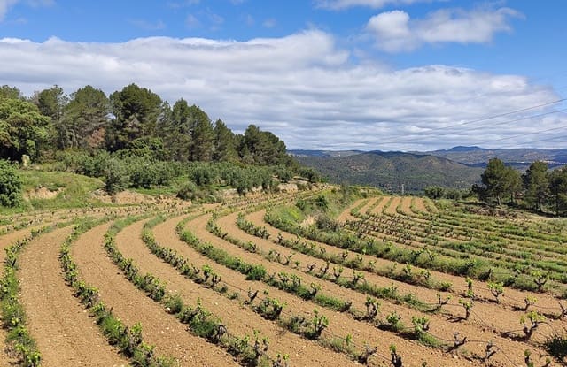 Finca/Landehus til salg i Garcia - € 160.000 (Ref: 9528849)