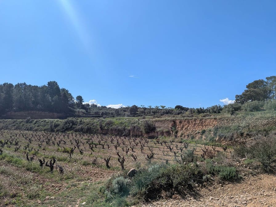 Finca/Landehus til salg i Garcia - € 160.000 (Ref: 9528849)