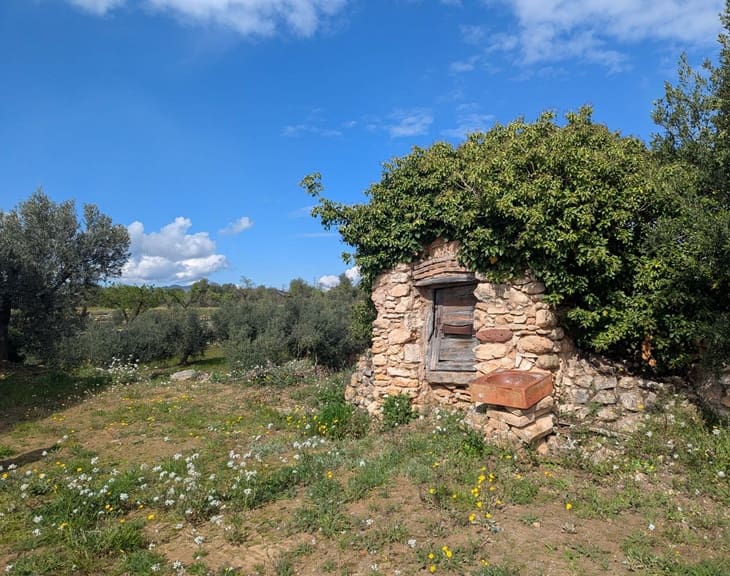 Finca/Landehus til salg i Garcia - € 160.000 (Ref: 9528849)