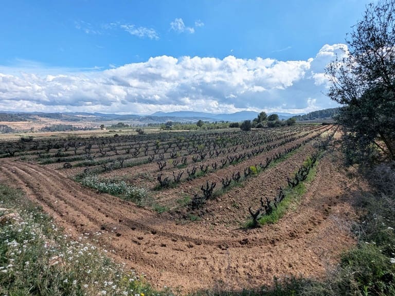 Finca/Landehus til salg i Garcia - € 160.000 (Ref: 9528849)