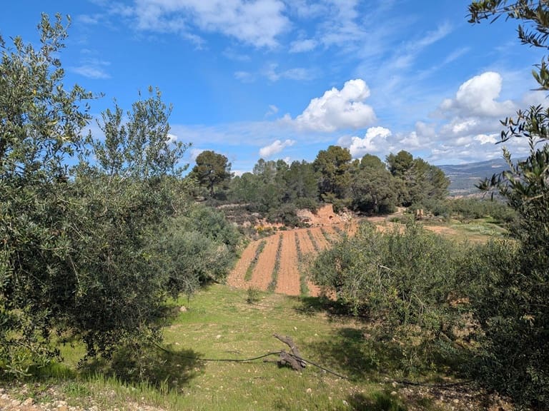 Finca/Landehus til salg i Garcia - € 160.000 (Ref: 9528849)