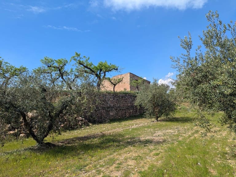 Finca/Landehus til salg i Garcia - € 160.000 (Ref: 9528849)