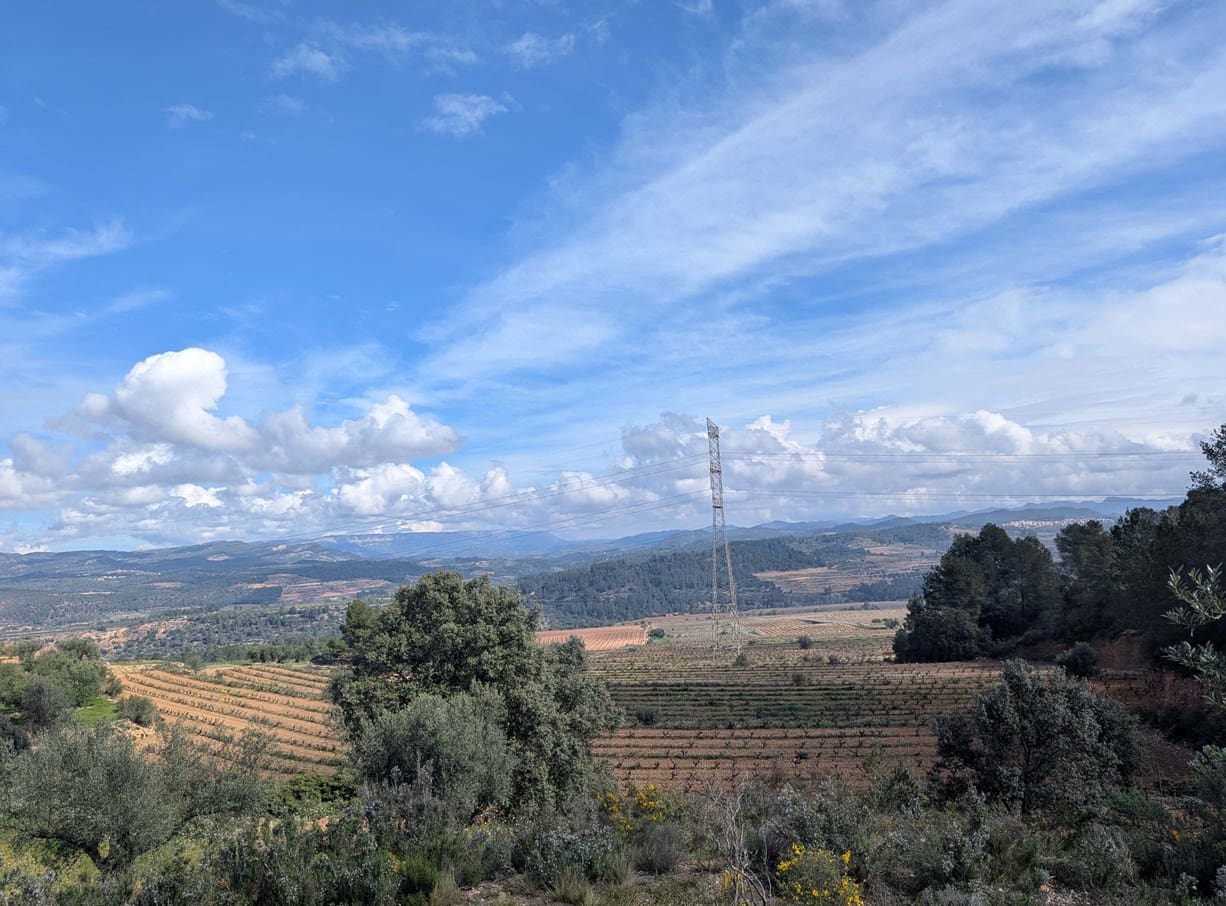 Finca/Landehus til salg i Garcia - € 160.000 (Ref: 9528849)