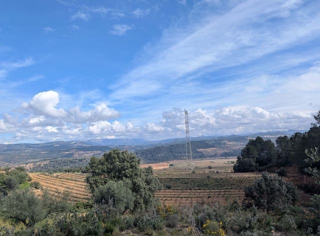 Finca/Landehus til salg i Garcia - € 160.000 (Ref: 9528849)