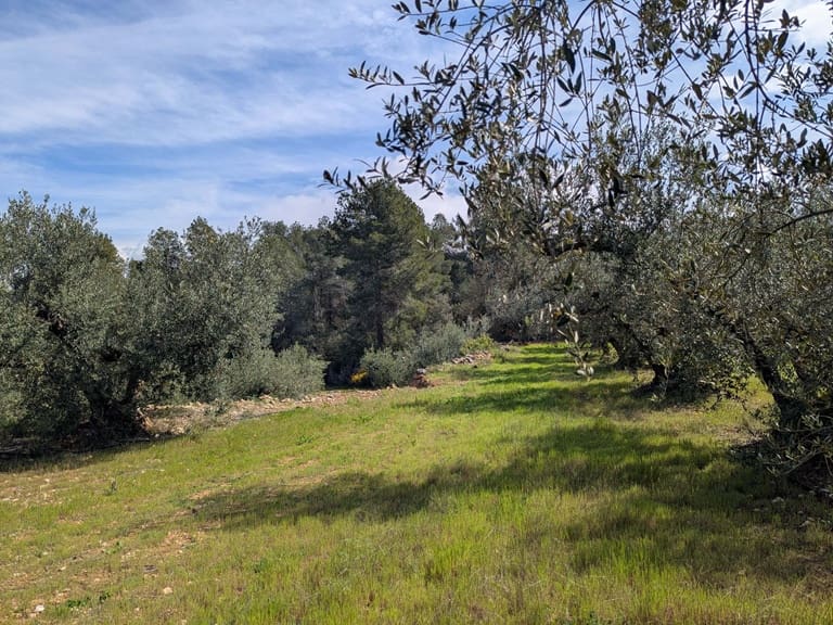 Finca/Landehus til salg i Garcia - € 160.000 (Ref: 9528849)