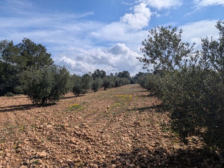 Finca/Landehus til salg i Garcia - € 160.000 (Ref: 9528849)