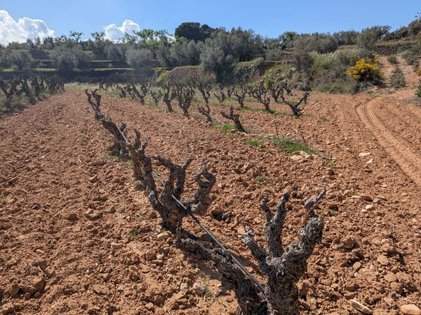 Finca/Landehus til salg i Garcia - € 160.000 (Ref: 9528849)