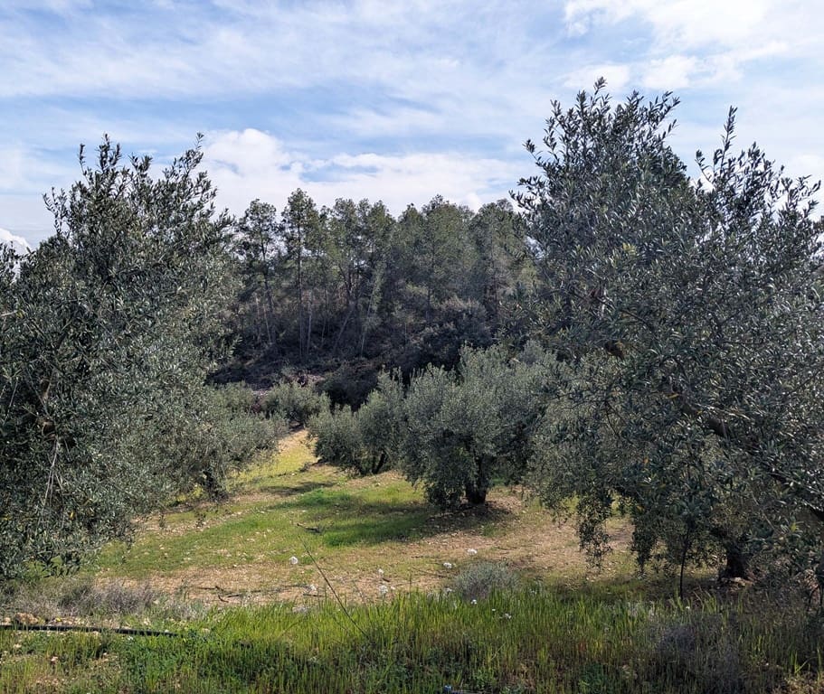Finca/Landehus til salg i Garcia - € 160.000 (Ref: 9528849)