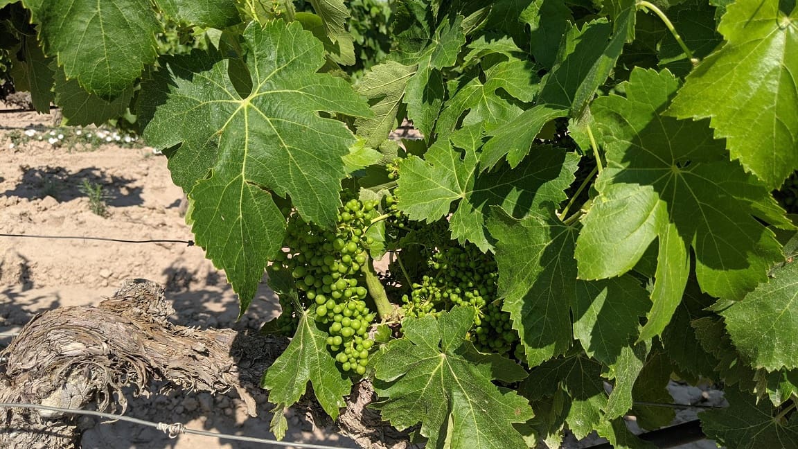 Finca/Landehus til salg i Garcia - € 160.000 (Ref: 9528849)