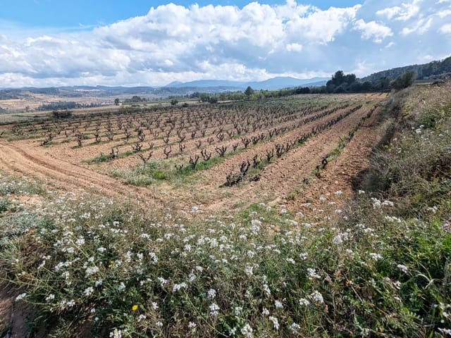 Finca/Landehus til salg i Garcia - € 160.000 (Ref: 9528849)