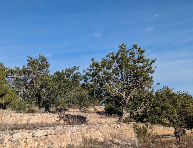 1 bedroom Finca/Country House for sale in El Pinell de Brai - € 69,000 (Ref: 9528853)