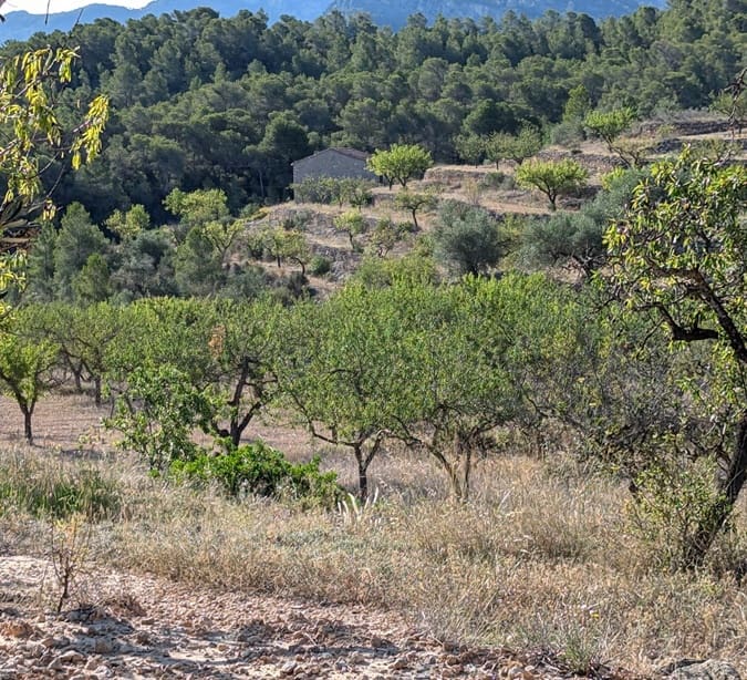 1 bedroom Finca/Country House for sale in El Pinell de Brai - € 69,000 (Ref: 9528853)