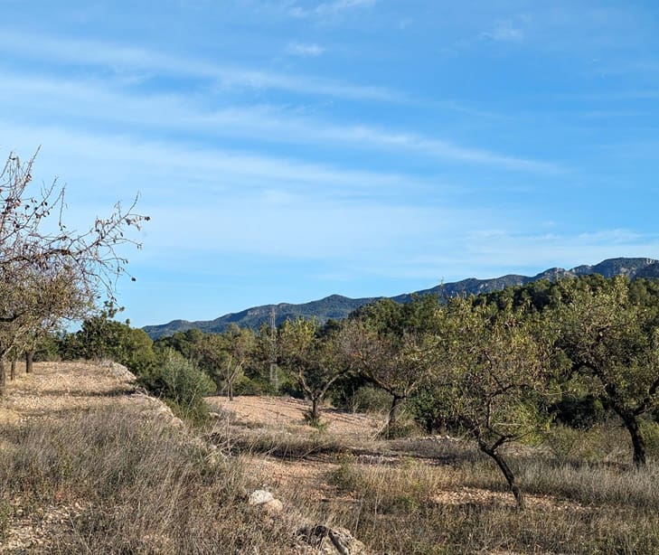 1 bedroom Finca/Country House for sale in El Pinell de Brai - € 69,000 (Ref: 9528853)