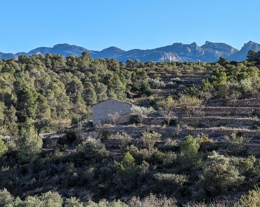 1 bedroom Finca/Country House for sale in El Pinell de Brai - € 69,000 (Ref: 9528853)