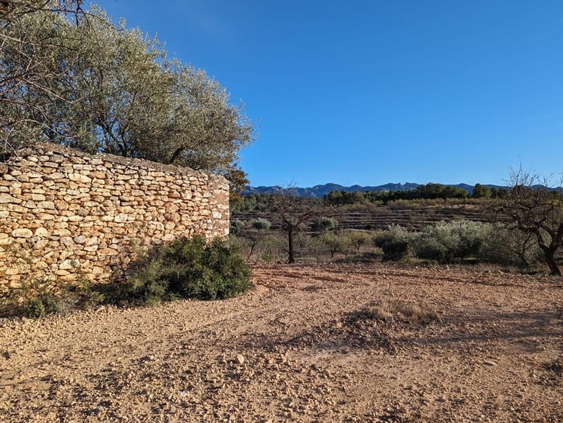 1 bedroom Finca/Country House for sale in El Pinell de Brai - € 69,000 (Ref: 9528853)