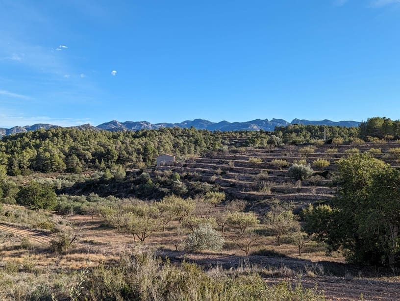 1 bedroom Finca/Country House for sale in El Pinell de Brai - € 69,000 (Ref: 9528853)