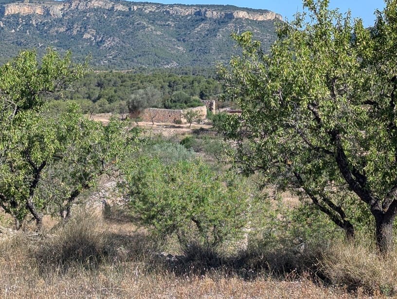1 bedroom Finca/Country House for sale in El Pinell de Brai - € 69,000 (Ref: 9528853)