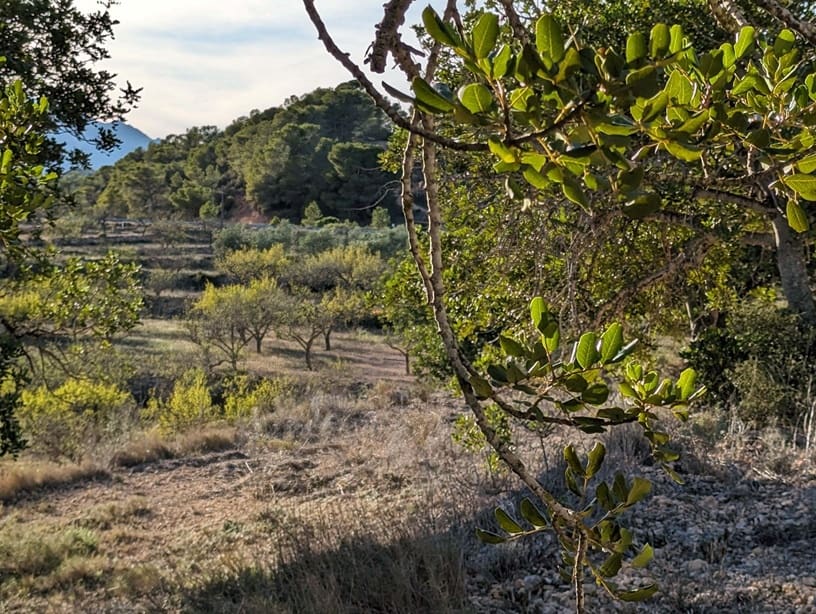 1 bedroom Finca/Country House for sale in El Pinell de Brai - € 69,000 (Ref: 9528853)