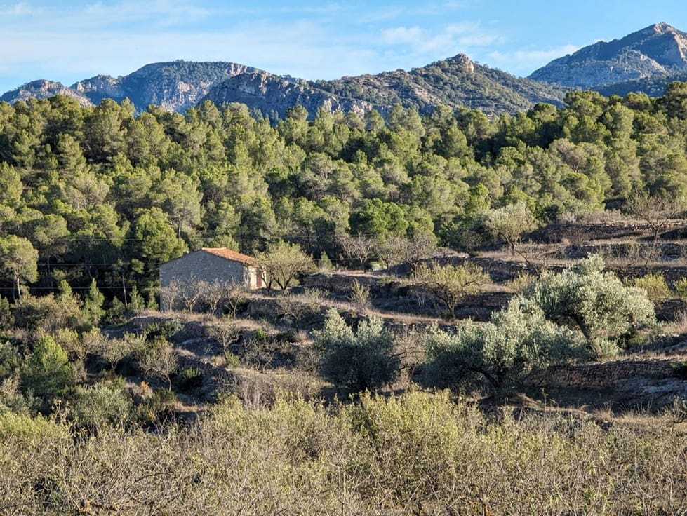 1 bedroom Finca/Country House for sale in El Pinell de Brai - € 69,000 (Ref: 9528853)