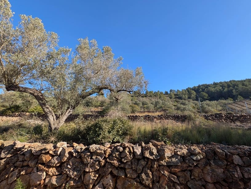 3 sovrum Finca/Hus på landet till salu i Tivissa med pool garage - 310 000 € (Ref: 9596487)