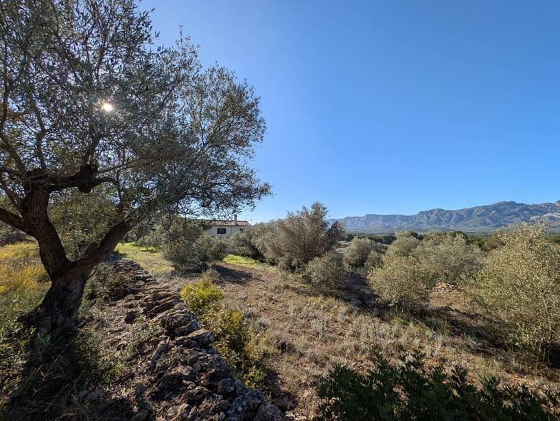 3 sovrum Finca/Hus på landet till salu i Tivissa med pool garage - 310 000 € (Ref: 9596487)