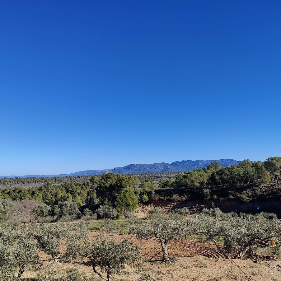 2 chambre Finca/Maison de Campagne à vendre à Miravet avec garage - 140 000 € (Ref: 9628260)