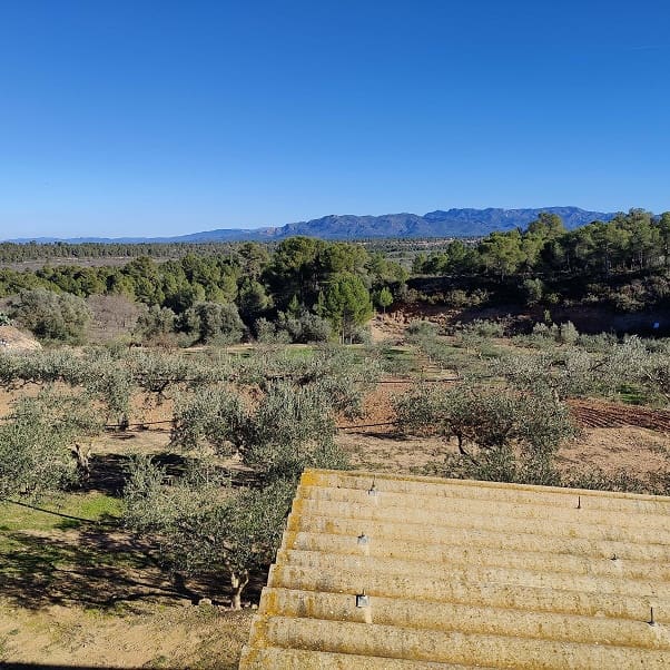 2 chambre Finca/Maison de Campagne à vendre à Miravet avec garage - 140 000 € (Ref: 9628260)