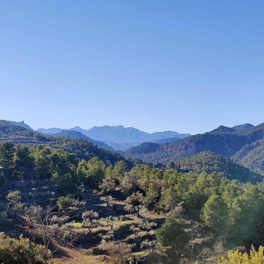 2 chambre Finca/Maison de Campagne à vendre à Miravet avec garage - 140 000 € (Ref: 9628260)