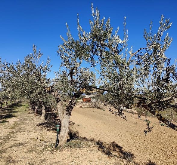 2 chambre Finca/Maison de Campagne à vendre à Miravet avec garage - 140 000 € (Ref: 9628260)