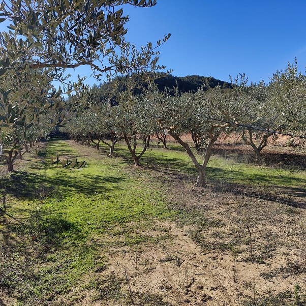 2 chambre Finca/Maison de Campagne à vendre à Miravet avec garage - 140 000 € (Ref: 9628260)