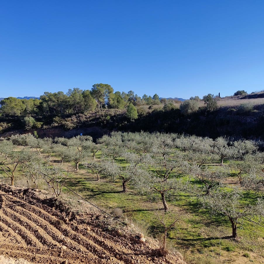 2 chambre Finca/Maison de Campagne à vendre à Miravet avec garage - 140 000 € (Ref: 9628260)