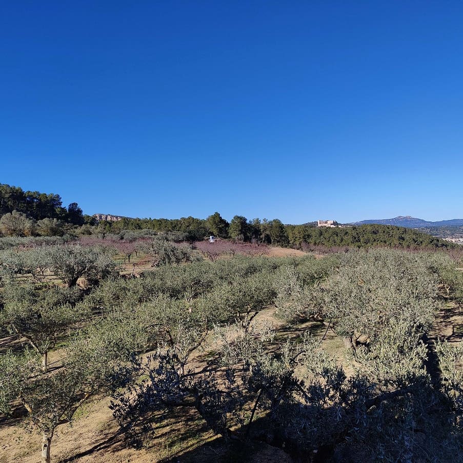 2 chambre Finca/Maison de Campagne à vendre à Miravet avec garage - 140 000 € (Ref: 9628260)