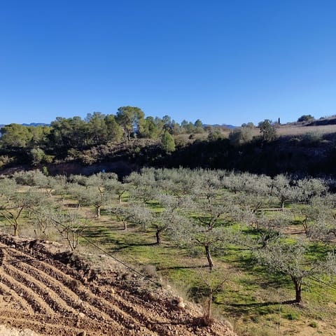 2 chambre Finca/Maison de Campagne à vendre à Miravet avec garage - 140 000 € (Ref: 9628260)