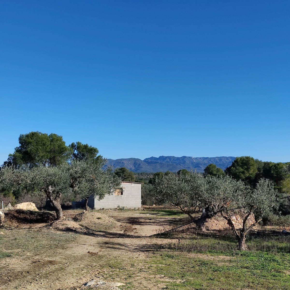 2 chambre Finca/Maison de Campagne à vendre à Miravet avec garage - 140 000 € (Ref: 9628260)