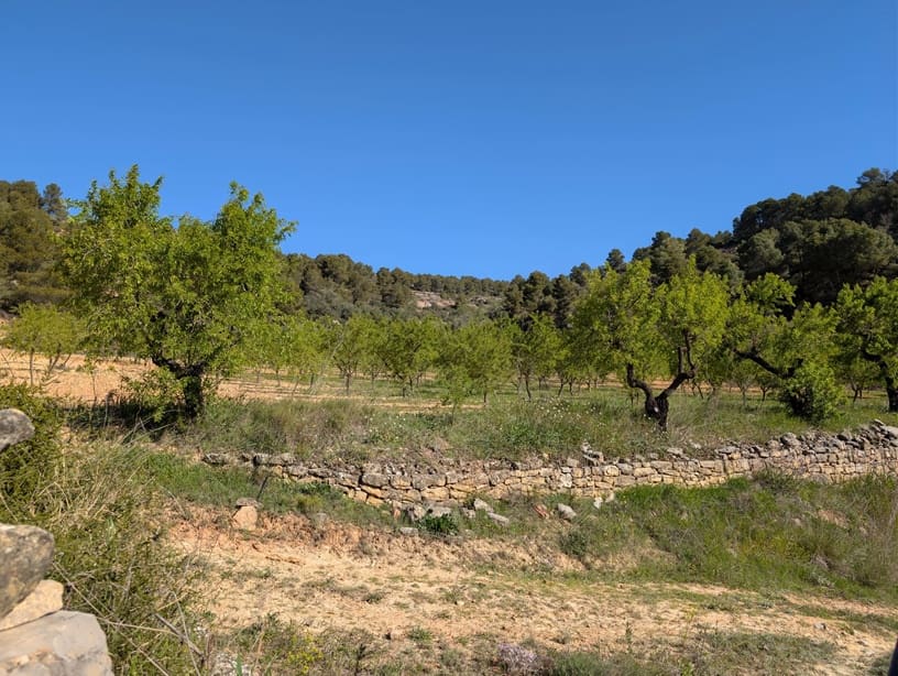 2 soverom Finca/Herregård til salgs i Gandesa med svømmebasseng garasje - € 172 000 (Ref: 9742145)