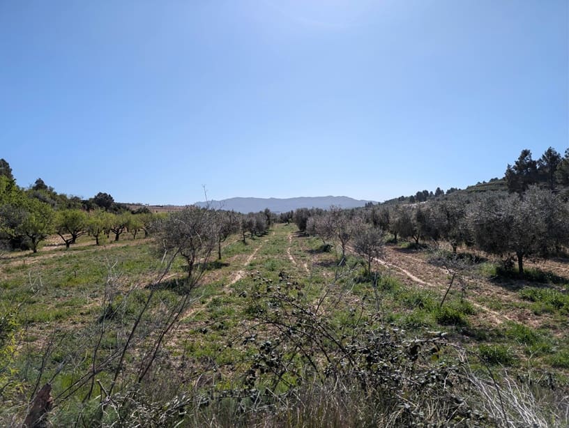 2 soverom Finca/Herregård til salgs i Gandesa med svømmebasseng garasje - € 172 000 (Ref: 9742145)