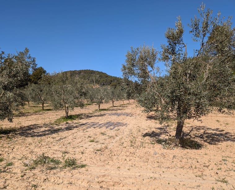 2 soverom Finca/Herregård til salgs i Gandesa med svømmebasseng garasje - € 172 000 (Ref: 9742145)