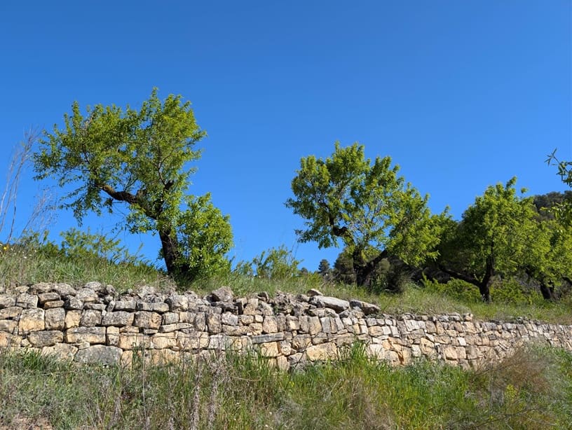 2 soverom Finca/Herregård til salgs i Gandesa med svømmebasseng garasje - € 172 000 (Ref: 9742145)