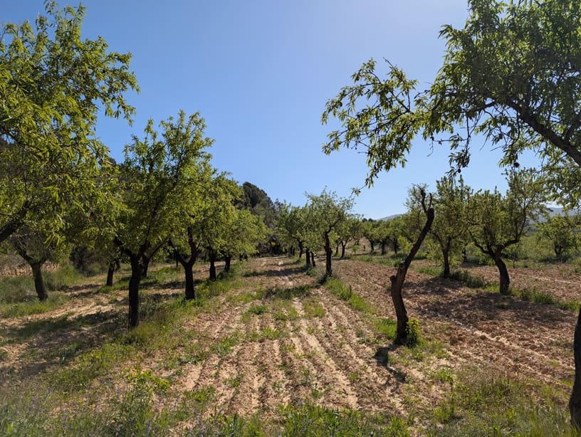 2 soverom Finca/Herregård til salgs i Gandesa med svømmebasseng garasje - € 172 000 (Ref: 9742145)