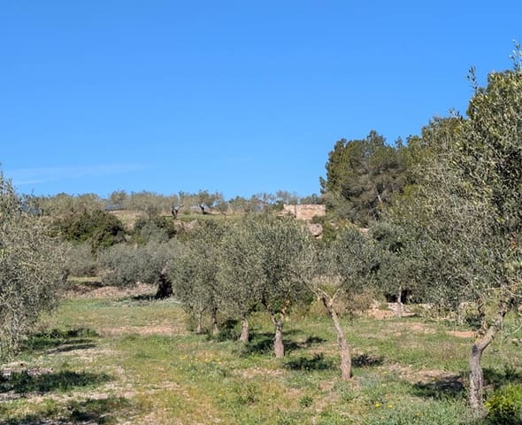 Grunde uden byggetilladelser til salg i Rasquera - € 33.000 (Ref: 9839633)