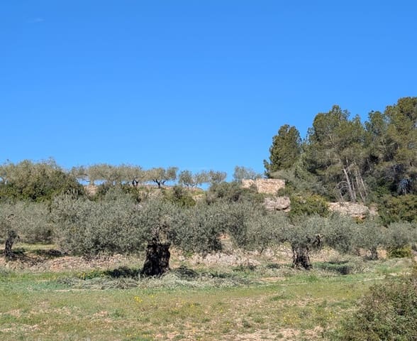 Grunde uden byggetilladelser til salg i Rasquera - € 33.000 (Ref: 9839633)